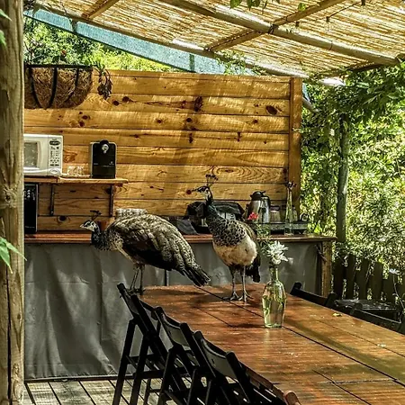 Agritourism By Douro River With Swimming Pool And Animals Dom wakacyjny Souselo