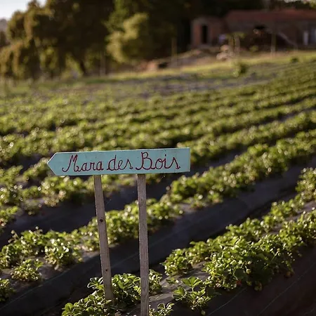 Verde Agua Agroturismo - Organic Farm