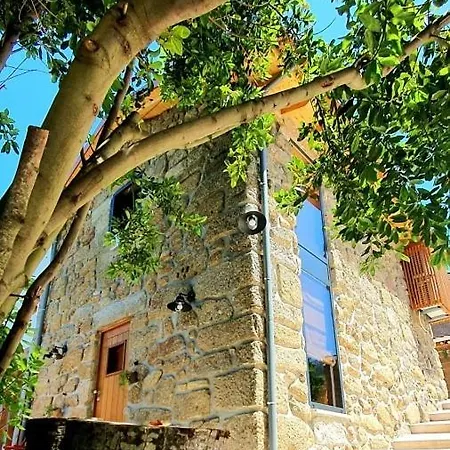 Agritourism By Douro River With Swimming Pool And Animals Dom wakacyjny