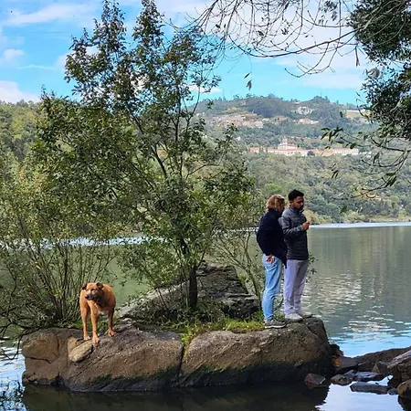 Agritourism By Douro River With Swimming Pool And Animals