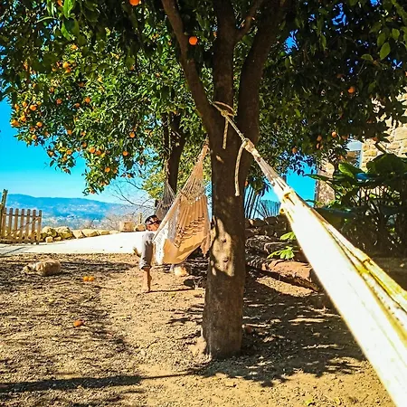 بيت للعطل Agua - Organic Farm