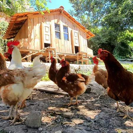 Agua - Organic Farm Dom wakacyjny