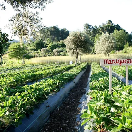Verde Agua Agroturismo - Organic Farm Nyaraló *