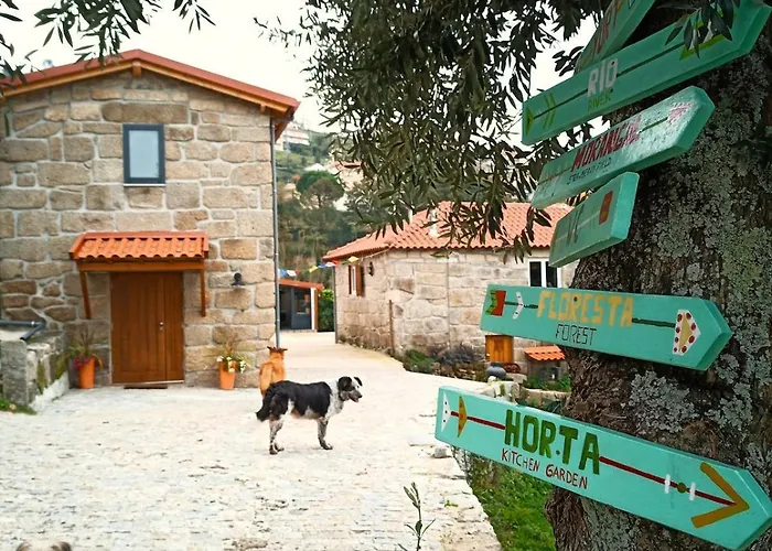度假居 Agritourism By Douro River With Swimming Pool And Animals