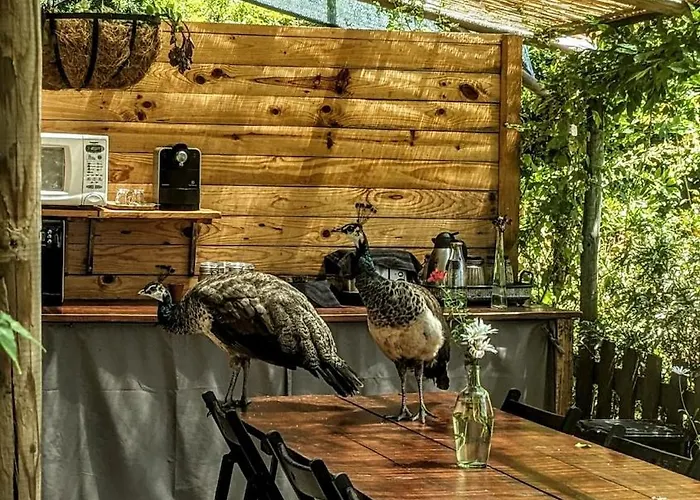 Agritourism By Douro River With Swimming Pool And Animals 度假居 Souselo