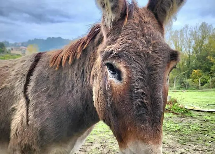 Verde Agua Agroturismo - Organic Farm