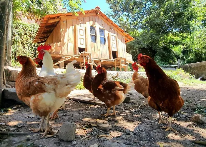 Verde Agua Agroturismo - Organic Farm *