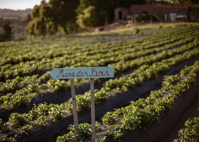 Agritourism By Douro River With Swimming Pool And Animals