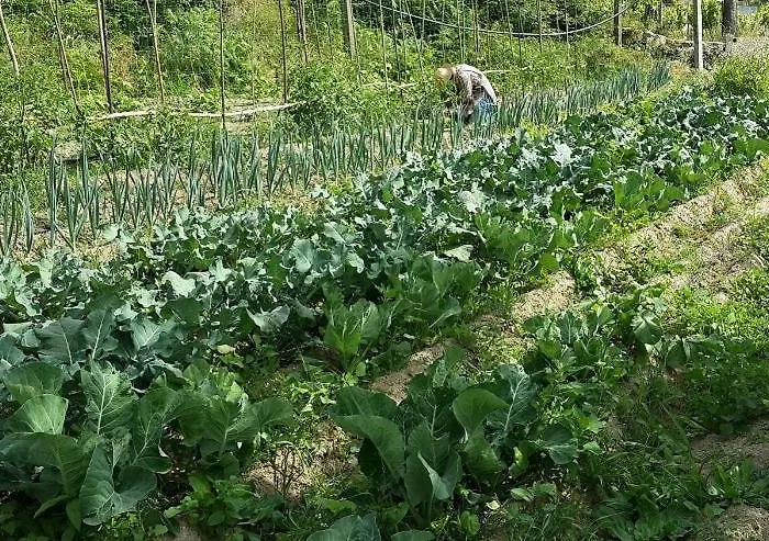 Nyaraló Verde Agua Agroturismo - Organic Farm *