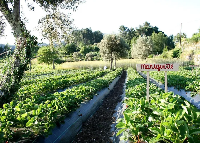 Verde Agua Agroturismo - Organic Farm Nyaraló *