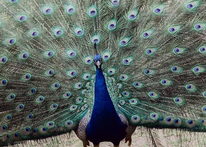 Verde Agua Agroturismo - Organic Farm